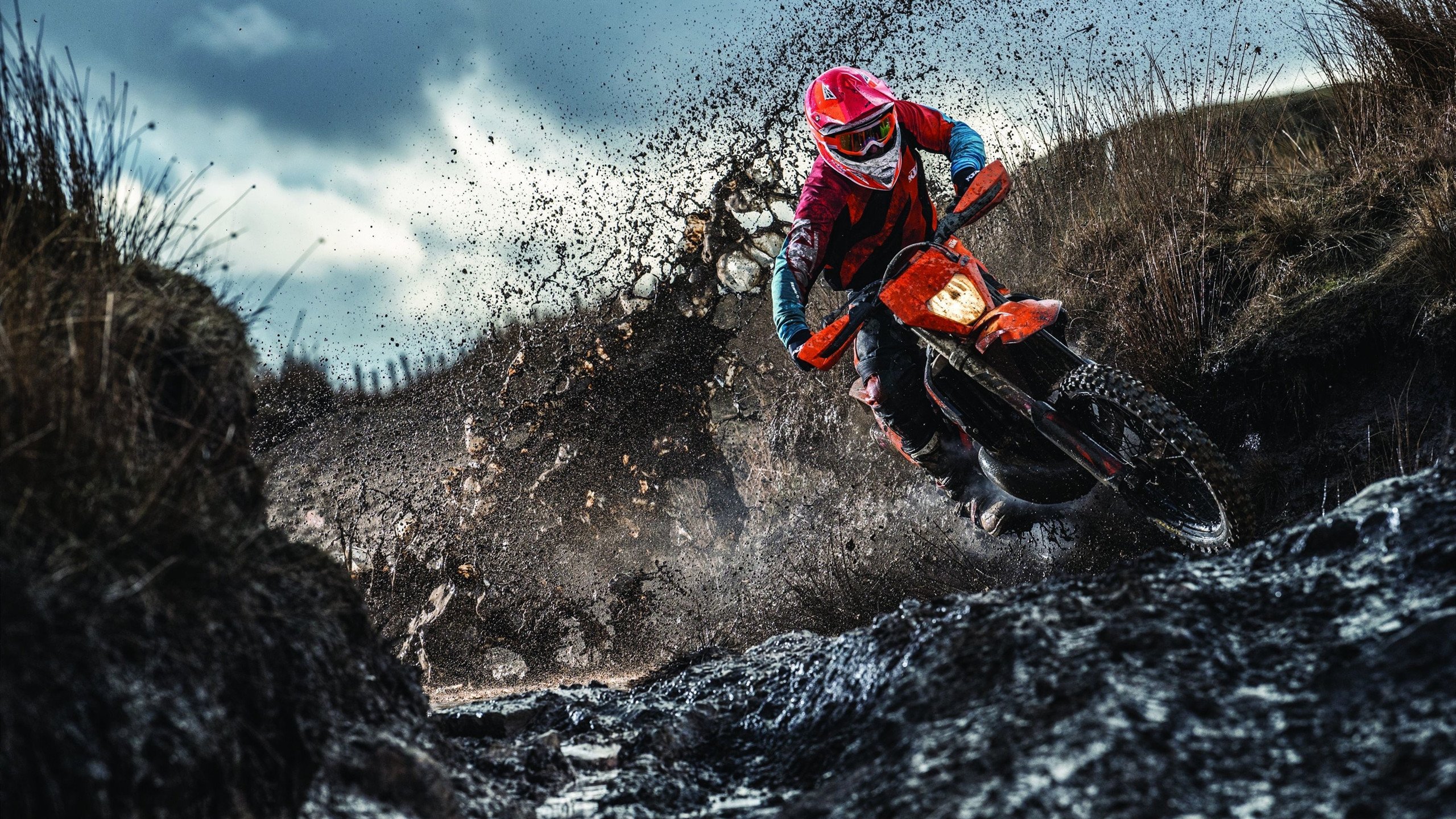 羽坛烽火，韩国队力克印度队，安赛龙点燃的不只是赛场